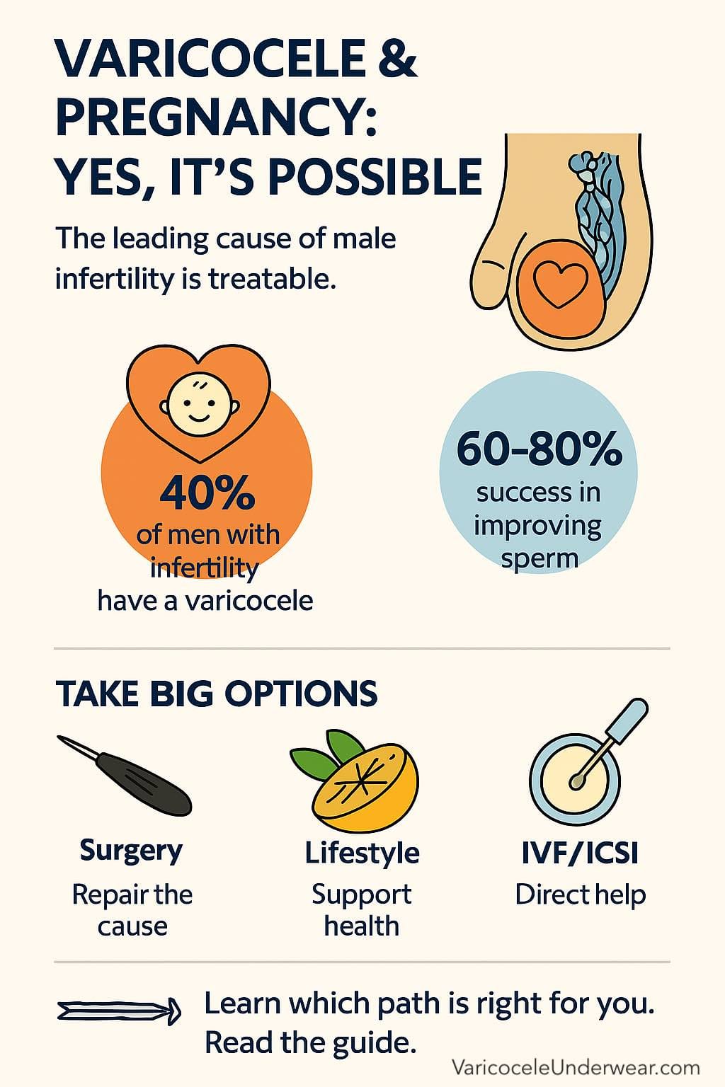 Vertical educational infographic titled Varicocele & Pregnancy: Yes, It's Possible showing key statistics, problem and solution, treatment options, and pregnancy chances with medical icons.