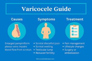 Horizontal infographic titled Varicocele Guide showing causes, symptoms, diagnosis, and treatment with medical icons and short descriptions.